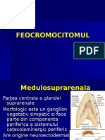 FEOCROMOCITOMUL