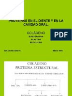 Protenas Diente-2005