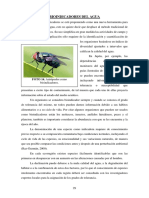 Bioindicadores PDF