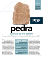 Leia Este Artigo em PDF