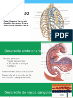 Angiologia de Tórax