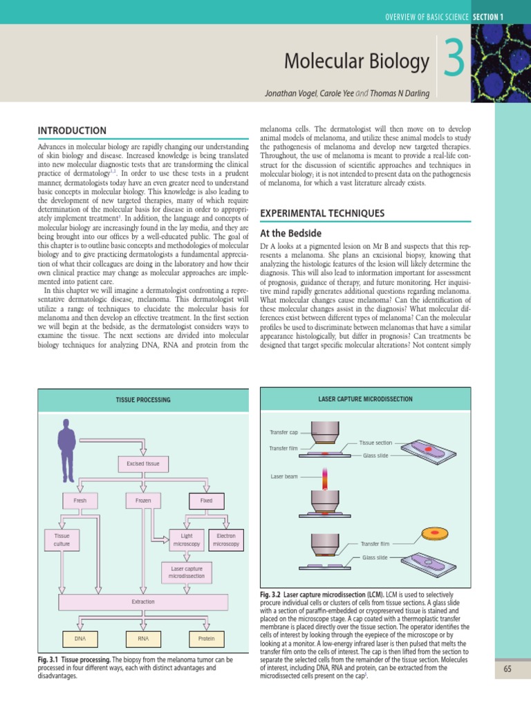 03 Molecular Biology | PDF | Reverse Transcription Polymerase Chain ...