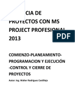 Gerencia de Proyectos Con Ms Project Profesional 2013