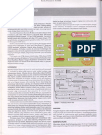 Bab 398 Demam Tifoid PDF