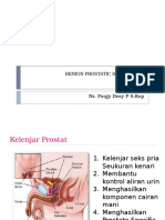 BPH OPTIMAL