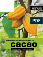 Production Et Transformation Du Cacao