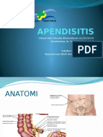 APENDISITIS