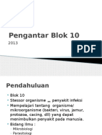 IT 1 - Pengantar Blok 10 - CHA