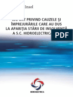 Raport - Cauze Insolventa PDF