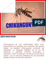 Chikungunya: virus, transmisión, síntomas y tratamiento
