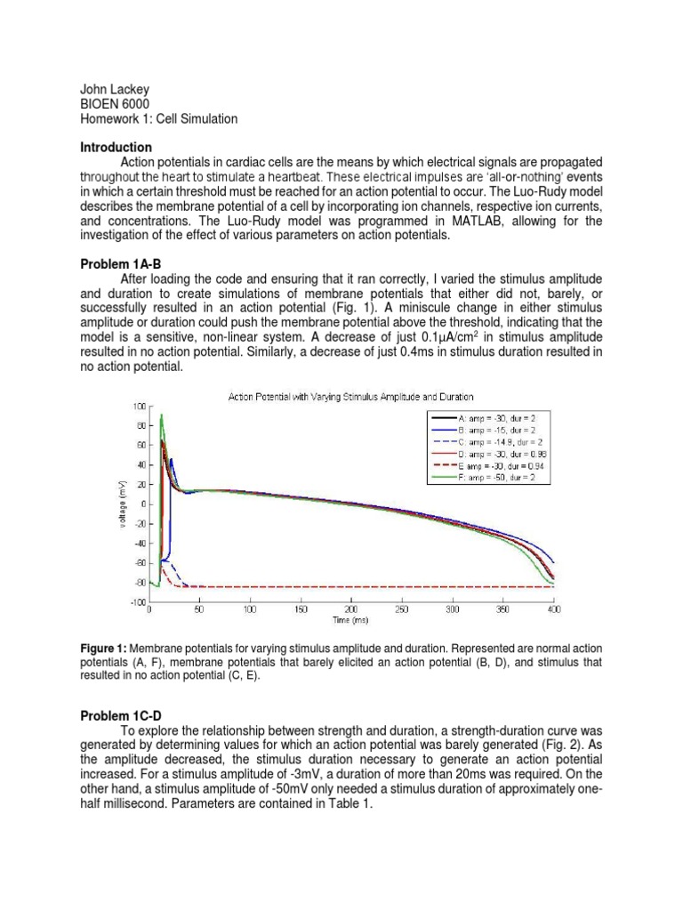 Cardiac Action Potential Simulation Analysis | PDF | Action Potential ...