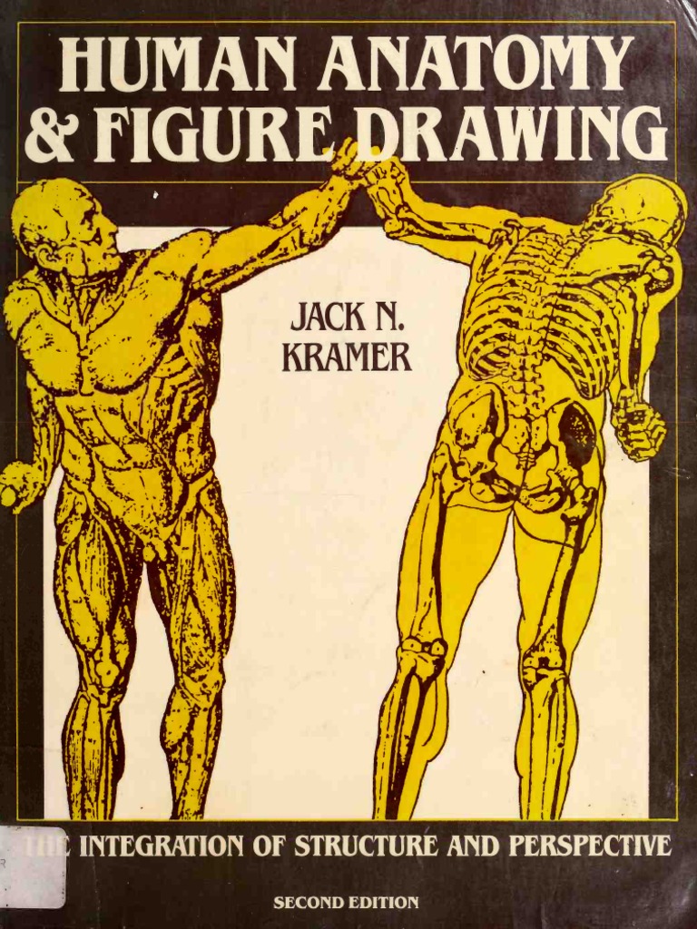 Human Anatomy and Figure Drawing PDF | PDF | Space | Quantity