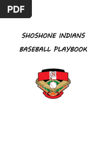 Shoshone Baseball Playbook