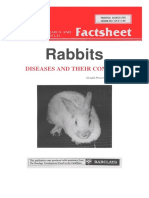 Rabbits: Diseases and Their Control