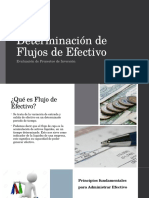 Determinación de Flujos de Efectivo v1