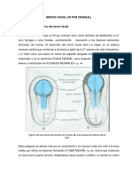 facial nervio craneal.pdf