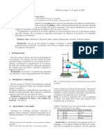 Modelo Informe LTBQ PDF