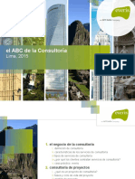 El Abc de La Consultoria de Proyectos en Ti