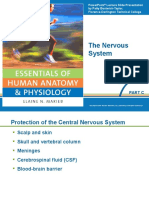 The Nervous System: Part C