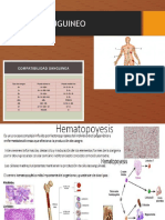 Sistema Sanguineo