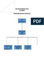 62. ORGANIRAMA BRIGADISTAS