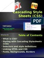 Cascading Style Sheets (CSS) : Web Based System Development