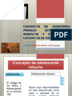 449_17_ejecuciÓn_de_sanciones_penales_juveniles_–_remisiÓn_y_control_de_ejecuciÓn_de_condenas.pdf