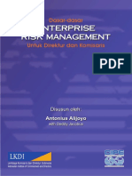 ERM Indoversion PDF