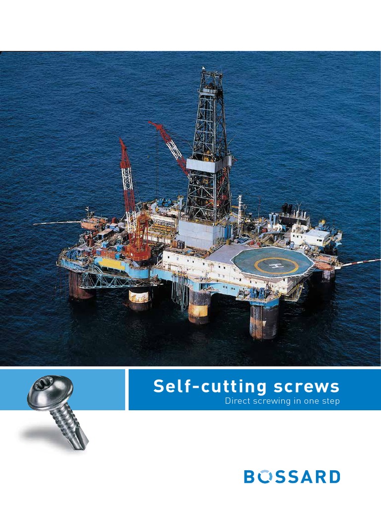 Selfcutting_screws_EN.pdf Screw Sheet Metal Free 30day