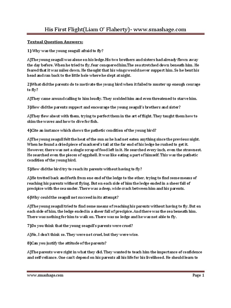 Plus One English Notes His First Flight By Liam O Flaherty.pdf