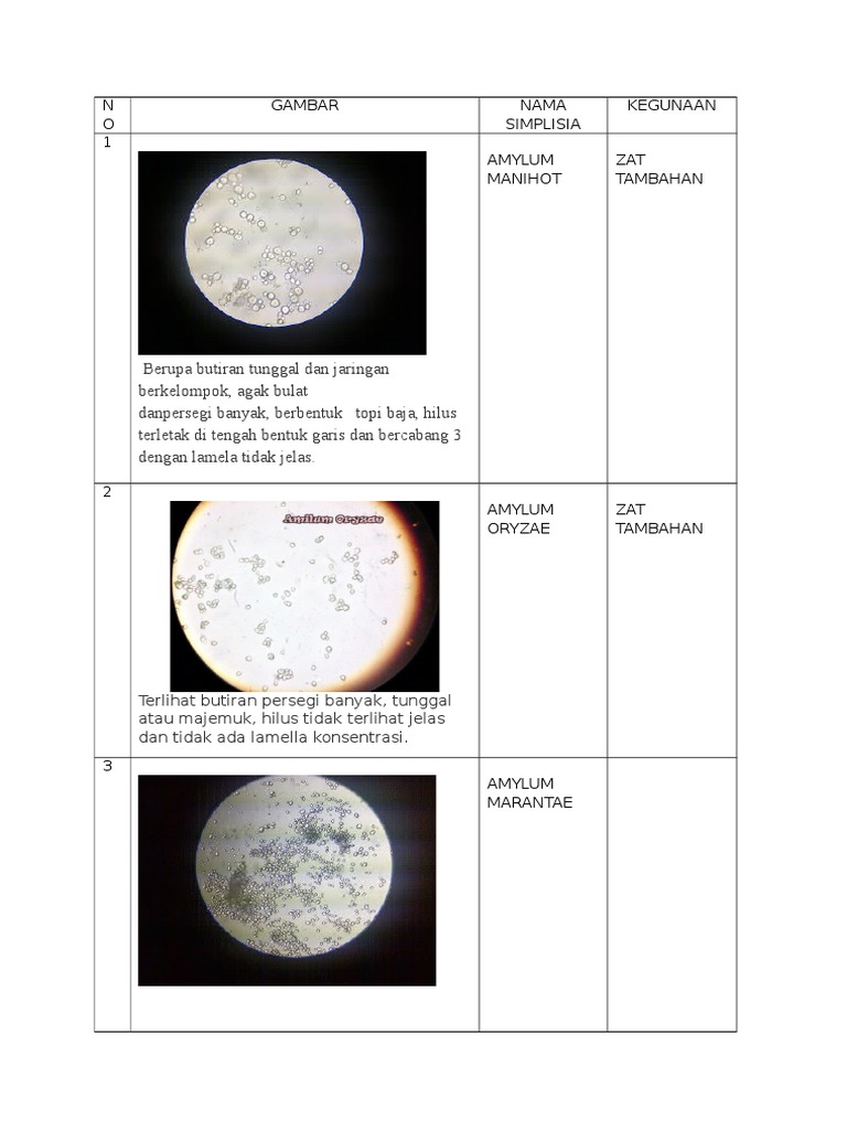 Katta jinsiy olatni boshi porno