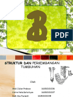 Kel 6. Struktur Perkembangan Tumbuhan