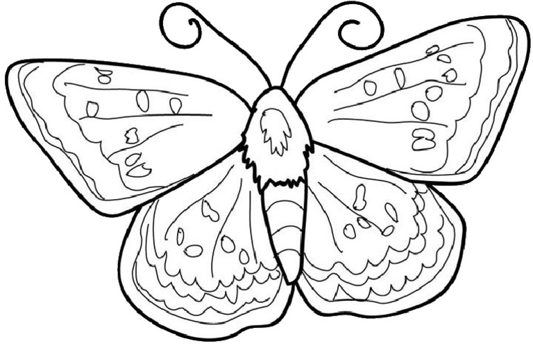 Planse De Colorat Pentru Copii Fluture