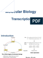 Molecular Biology: Transcription