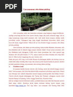 Download Cara Menanam Cabe Dalam Polybag by Leo Barus SN340422933 doc pdf