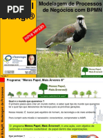 Tutorial BizAgi, Modelagem de Processos de Negócio v7.pdf