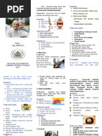 Leaflet Untuk Lansia Leaflet Posyandu Lansia 