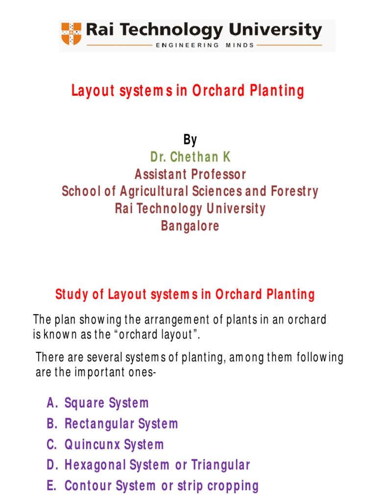 Planting System In Orchards Contour Line Orchard