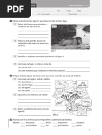 Tv5 Em Fichas de Avaliacao
