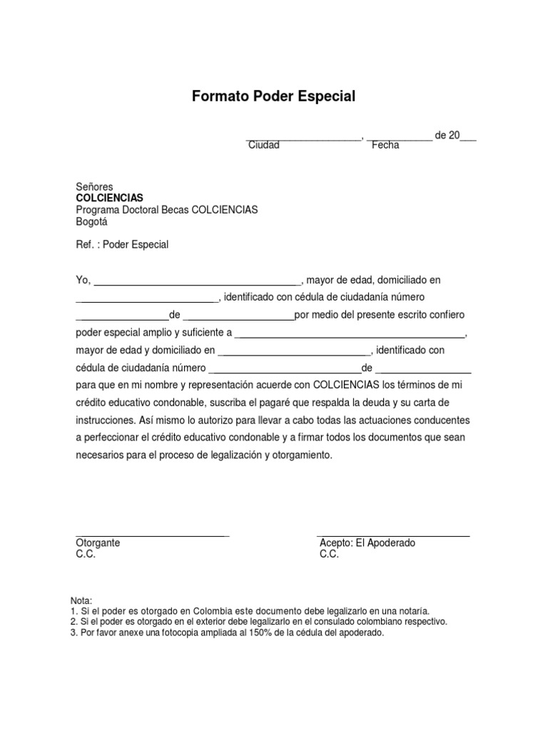 Formato de Poder | PDF | Gobierno
