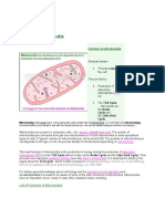 Function of Mitochondria