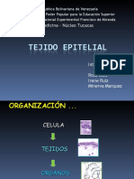 Tejido Epitelial..!!! 