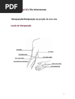 Terapêutica Endovenosa