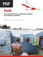 Download Haiti 6 months on From sustaining lives to sustainable solutions by British Red Cross SN34046126 doc pdf