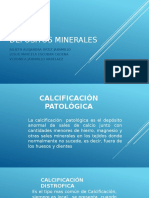 04 Depositos Minerales