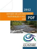 Informe Final Medio Ambiente 2012