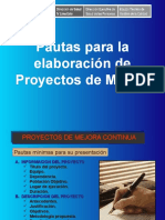 Pautas Para La Elaboración de PMC