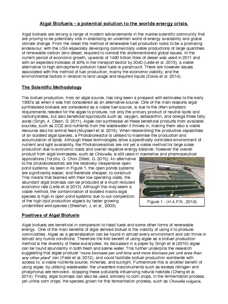 Algal Biofuels: A Renewable Energy Solution | PDF | Algae Fuel | Biofuel