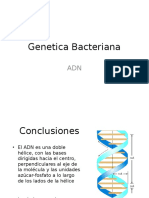 Genetica_bacteriana_2009