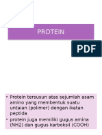 PROTEIN-full bahan mantap.pptx
